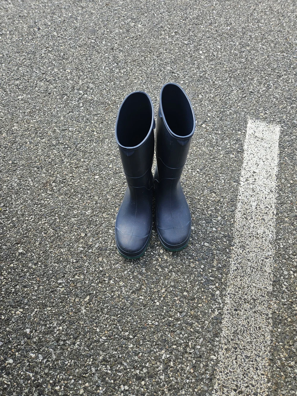 Classic Women's Navygaloshes/ Garden Boots - Waterproof